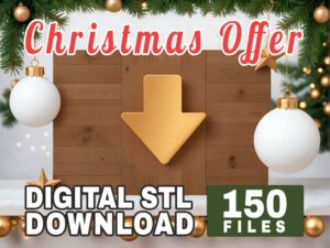 Christmas Offer 2024